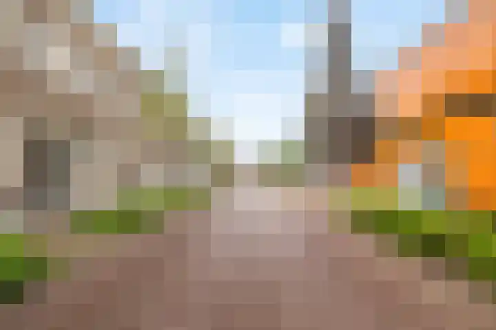 Deken van Miertstraat 7 Veghel thumbnail 47