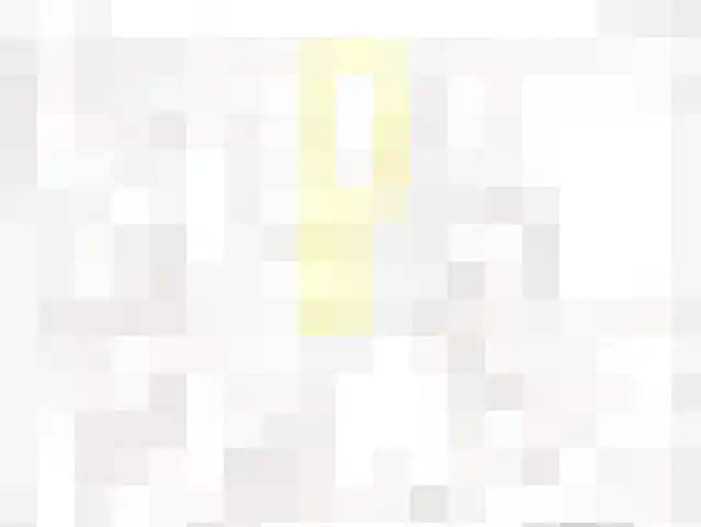 Deken van Miertstraat 7 Veghel thumbnail 52