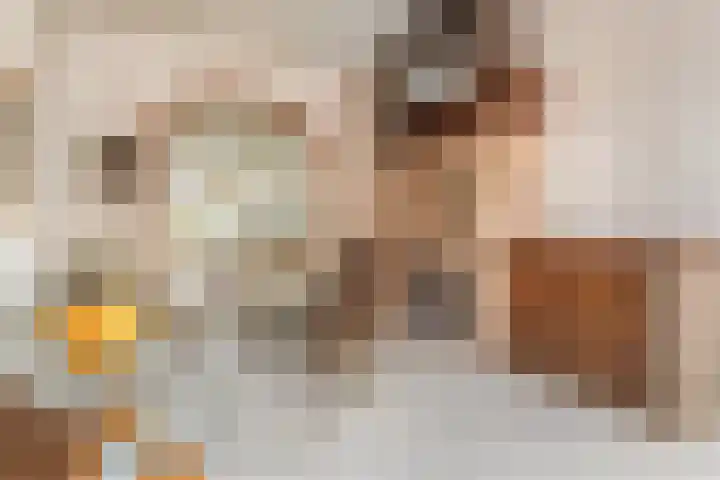 Deken van Miertstraat 7 Veghel thumbnail 6