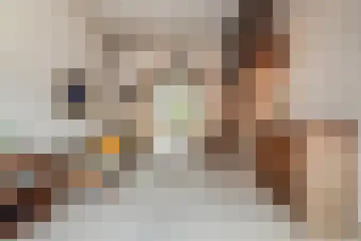 Deken van Miertstraat 7 Veghel thumbnail 7
