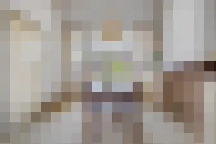 Deken van Miertstraat 7 Veghel thumbnail 8