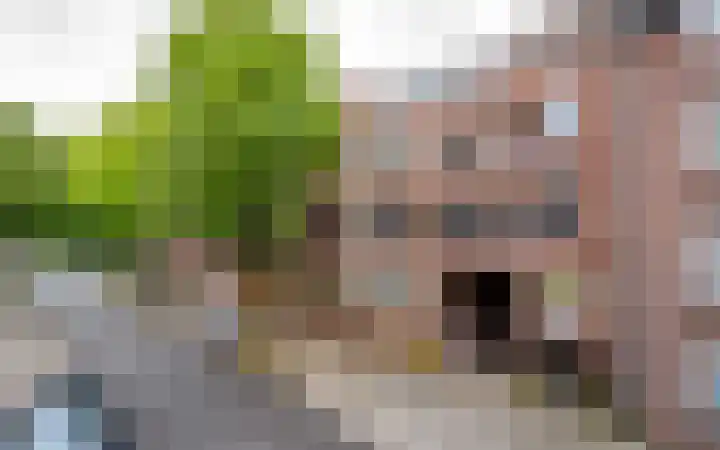 Deken van Oppensingel 107 Venlo thumbnail 40