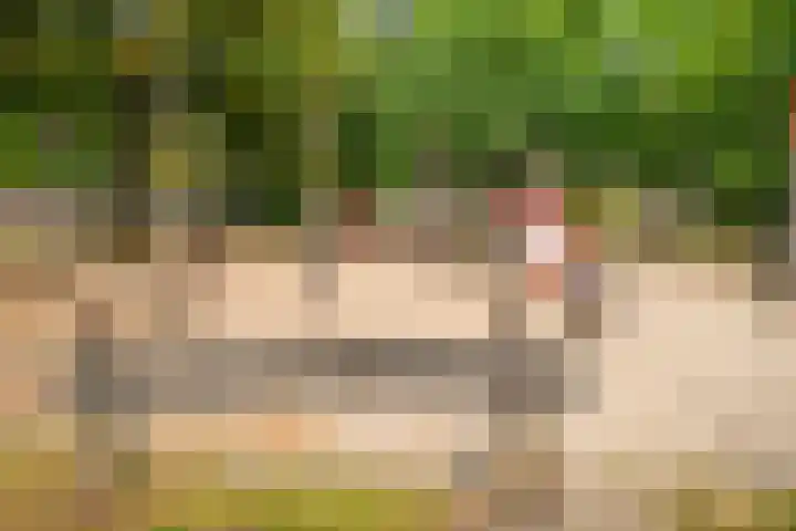 Deken van Oppensingel 107 Venlo thumbnail 46