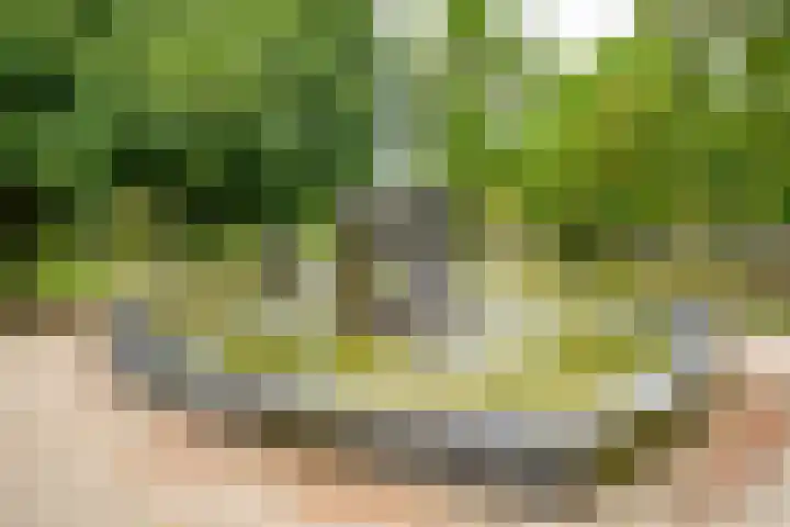 Deken van Oppensingel 107 Venlo thumbnail 47