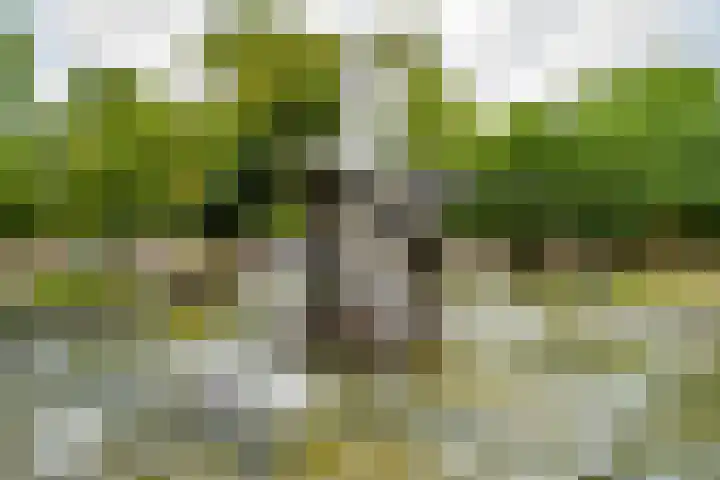 Deken van Oppensingel 107 Venlo thumbnail 48