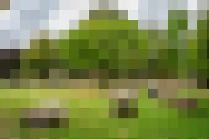 Deken van Oppensingel 107 Venlo thumbnail 49