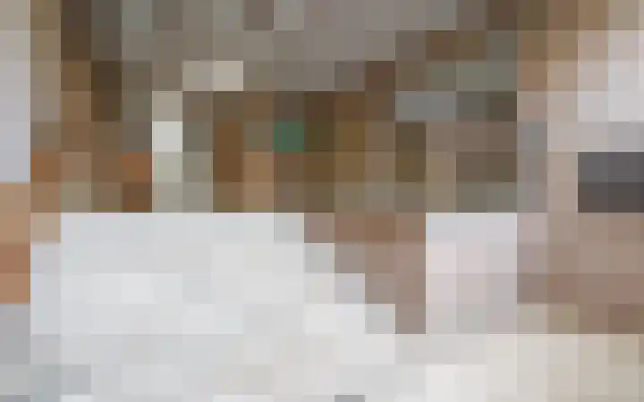 Deken van Oppensingel 107 Venlo thumbnail 5
