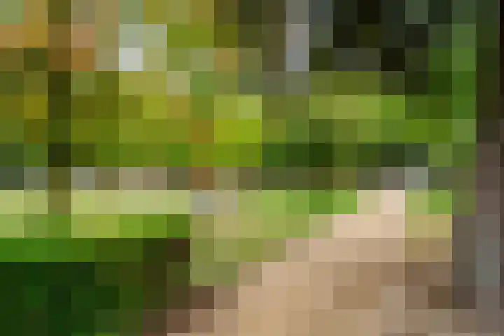 Deken van Oppensingel 107 Venlo thumbnail 50