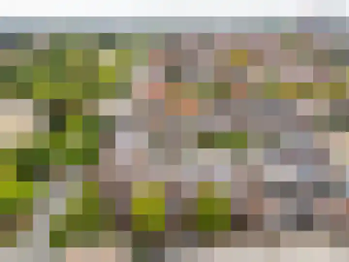 Deken van Oppensingel 107 Venlo thumbnail 52