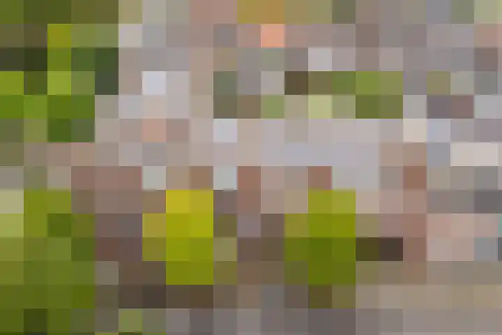 Deken van Oppensingel 107 Venlo thumbnail 53
