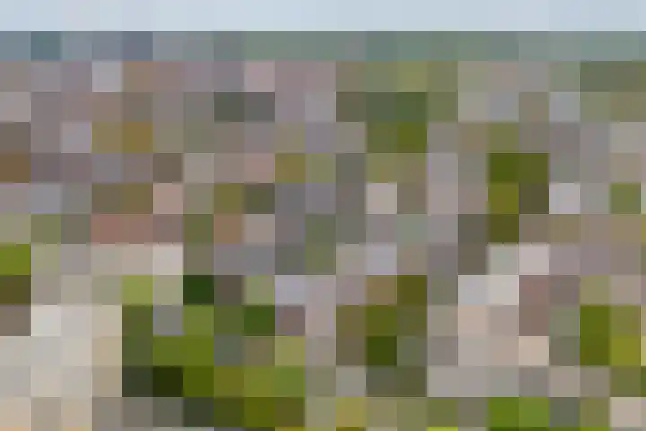 Deken van Oppensingel 107 Venlo thumbnail 58