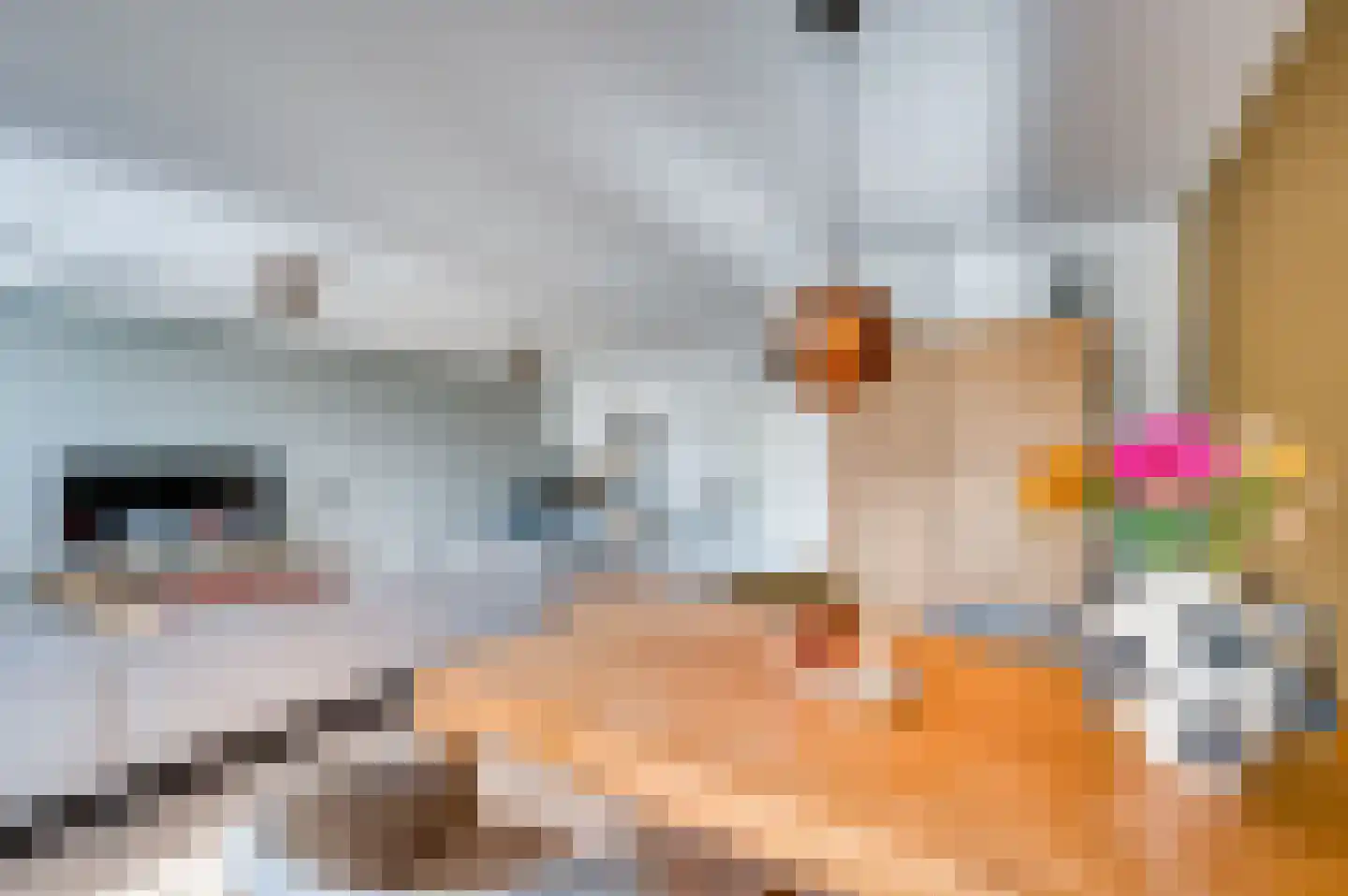 Deken van Oppensingel 115 Venlo thumbnail 11