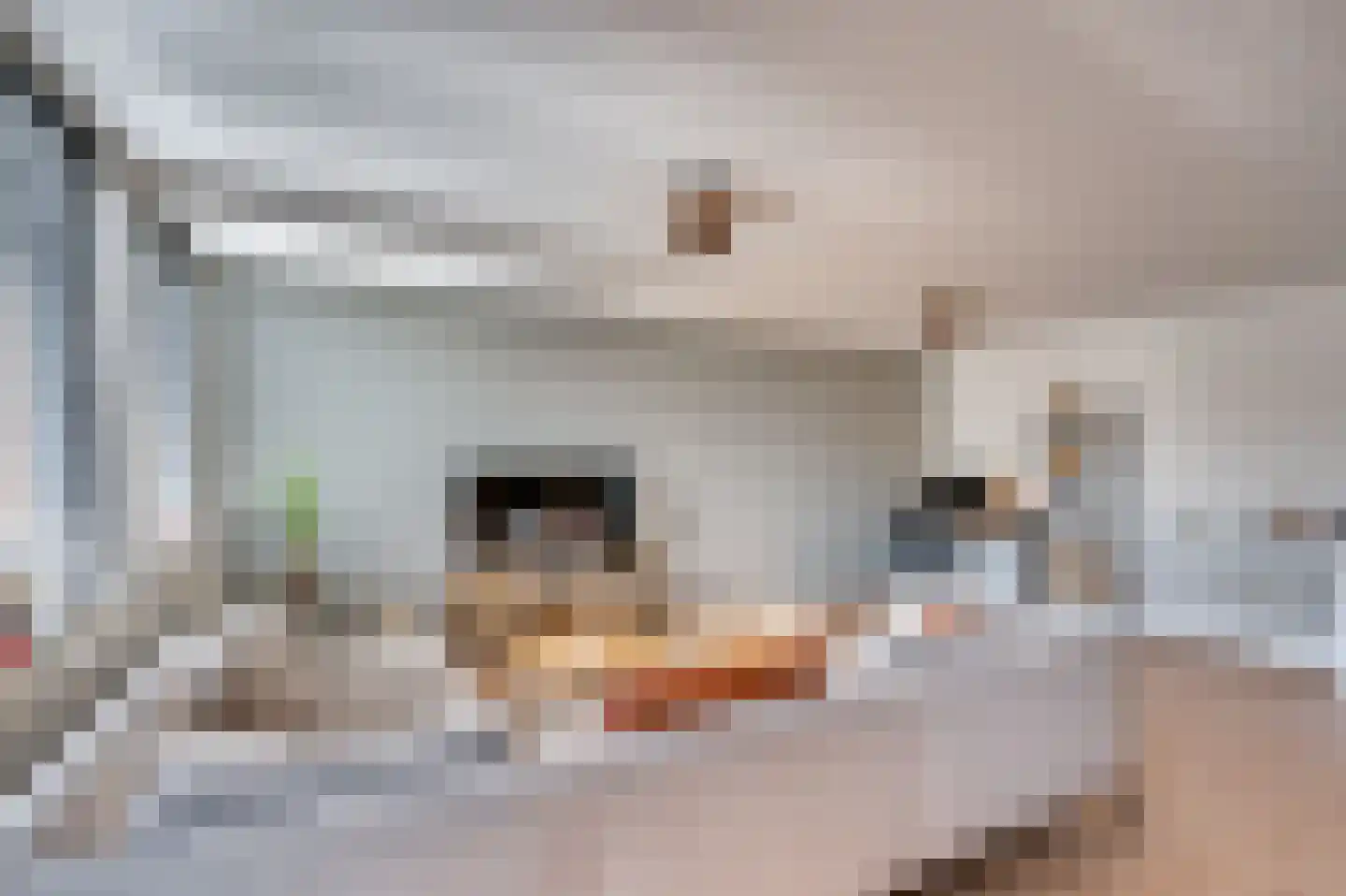 Deken van Oppensingel 115 Venlo thumbnail 12