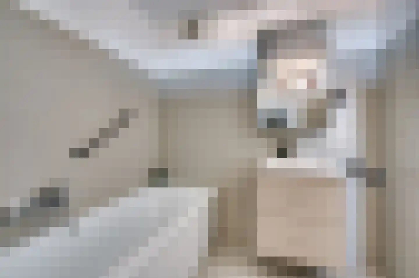 Deken van Oppensingel 115 Venlo thumbnail 22
