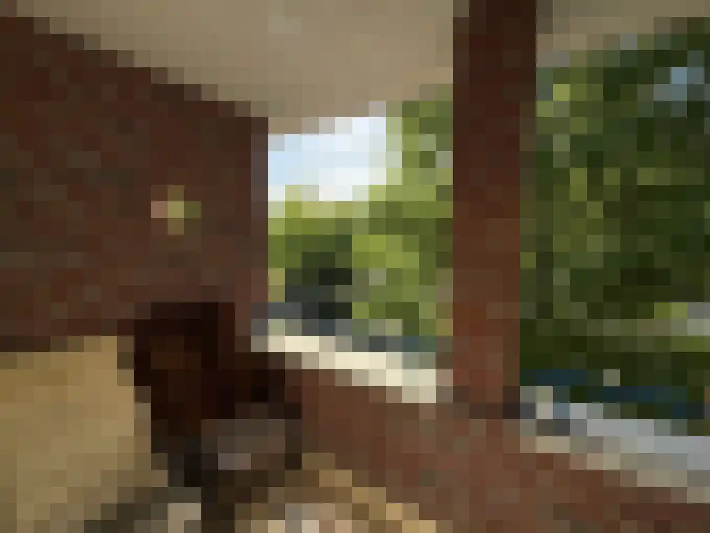 Deken van Oppensingel 115 Venlo thumbnail 8