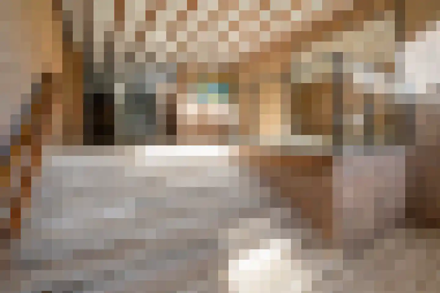 Deken van Oppensingel 117 Venlo thumbnail 16