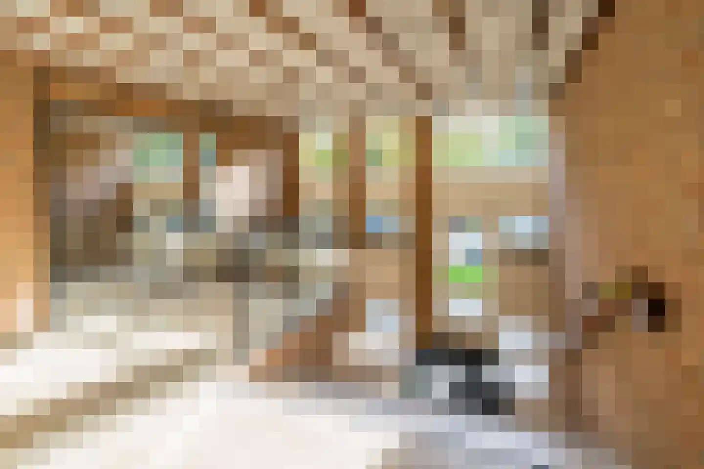 Deken van Oppensingel 117 Venlo thumbnail 17