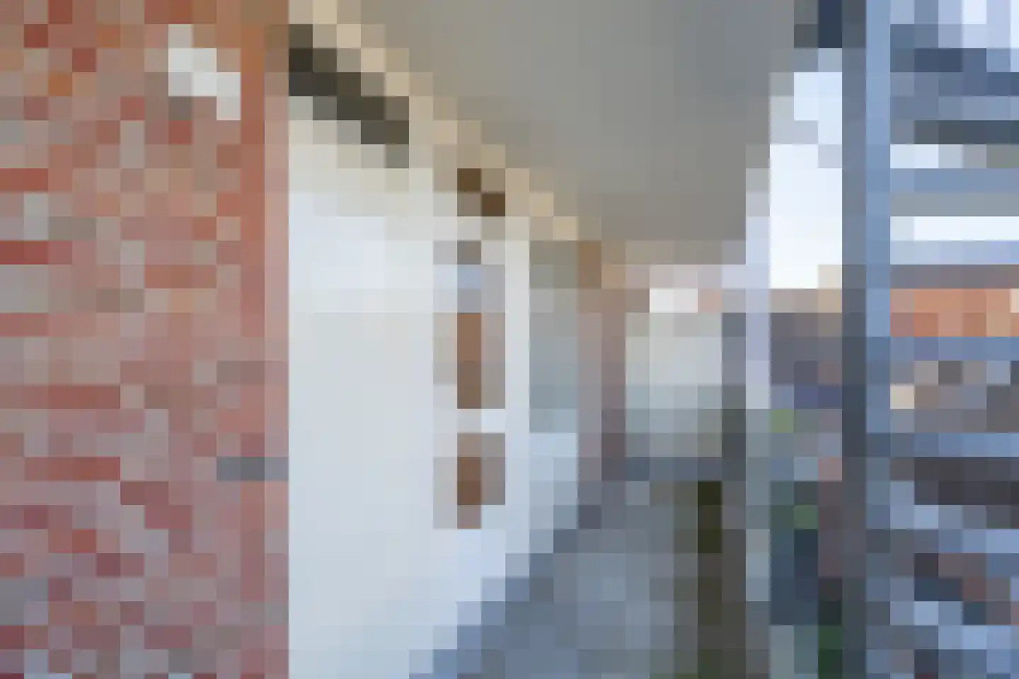 Deken van Oppensingel 117 Venlo thumbnail 21