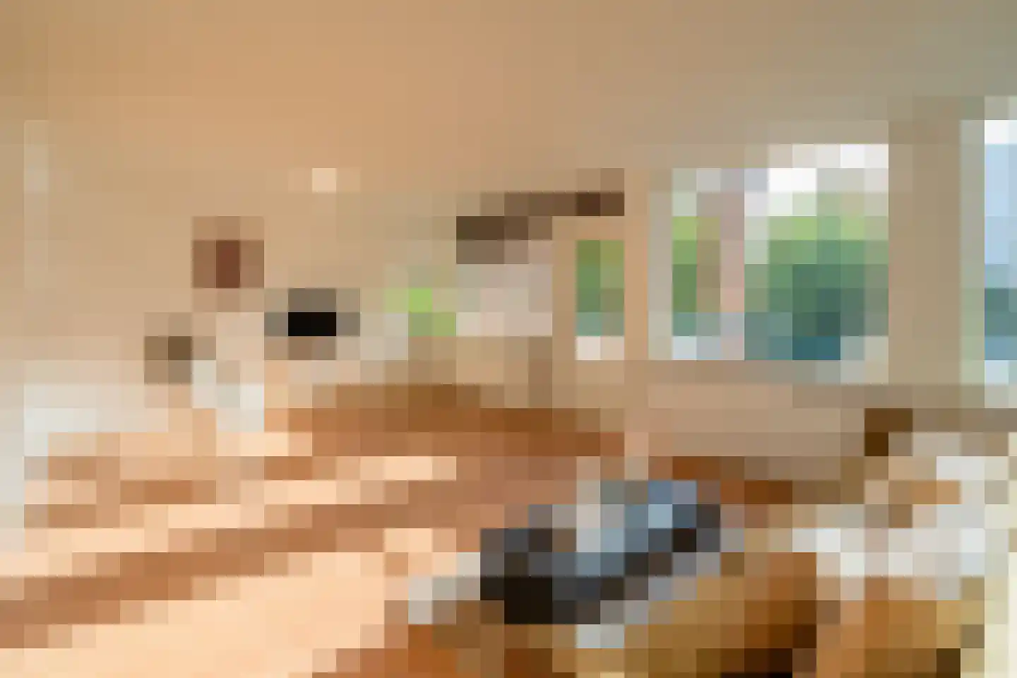 Deken van Oppensingel 117 Venlo thumbnail 27