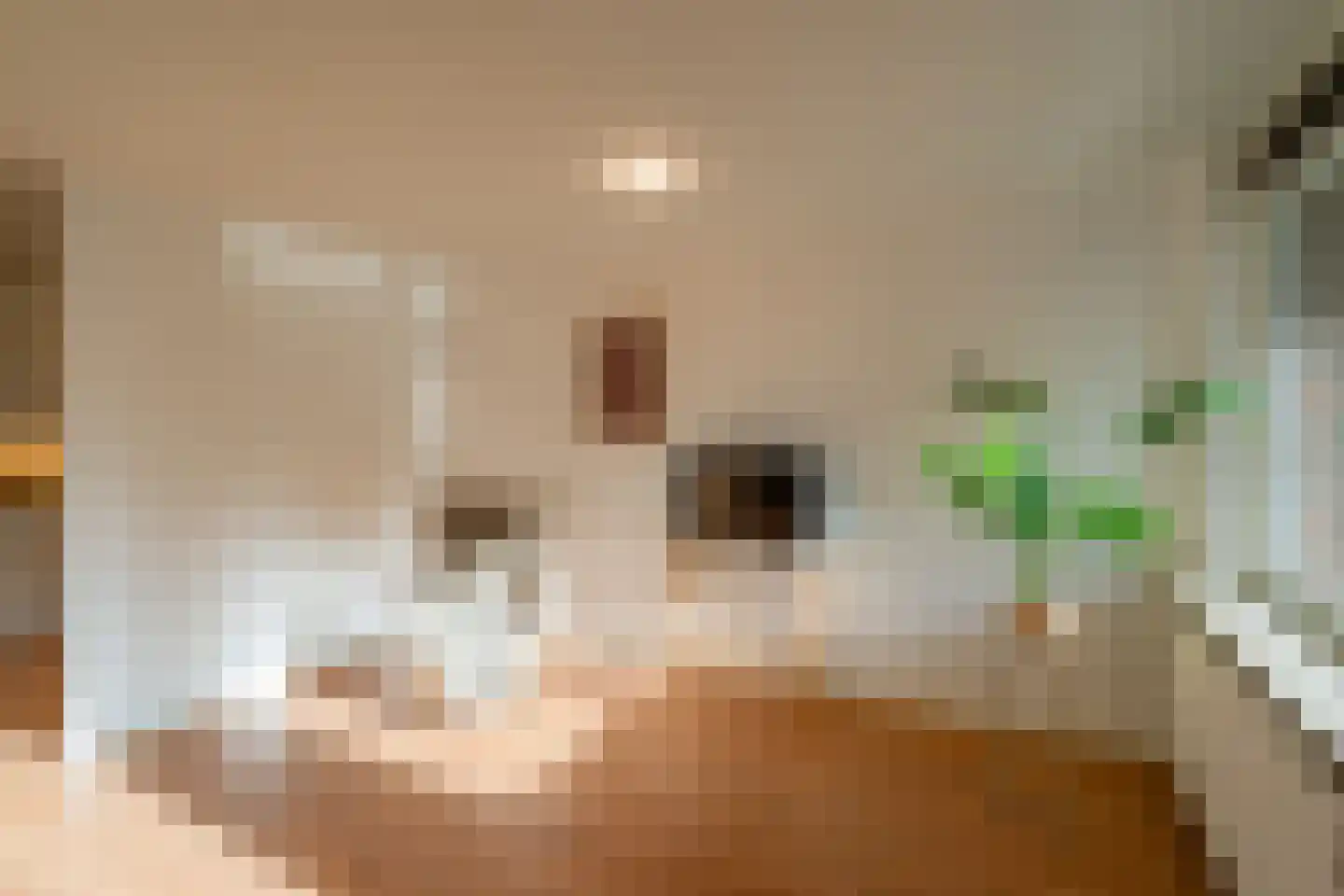 Deken van Oppensingel 117 Venlo thumbnail 28