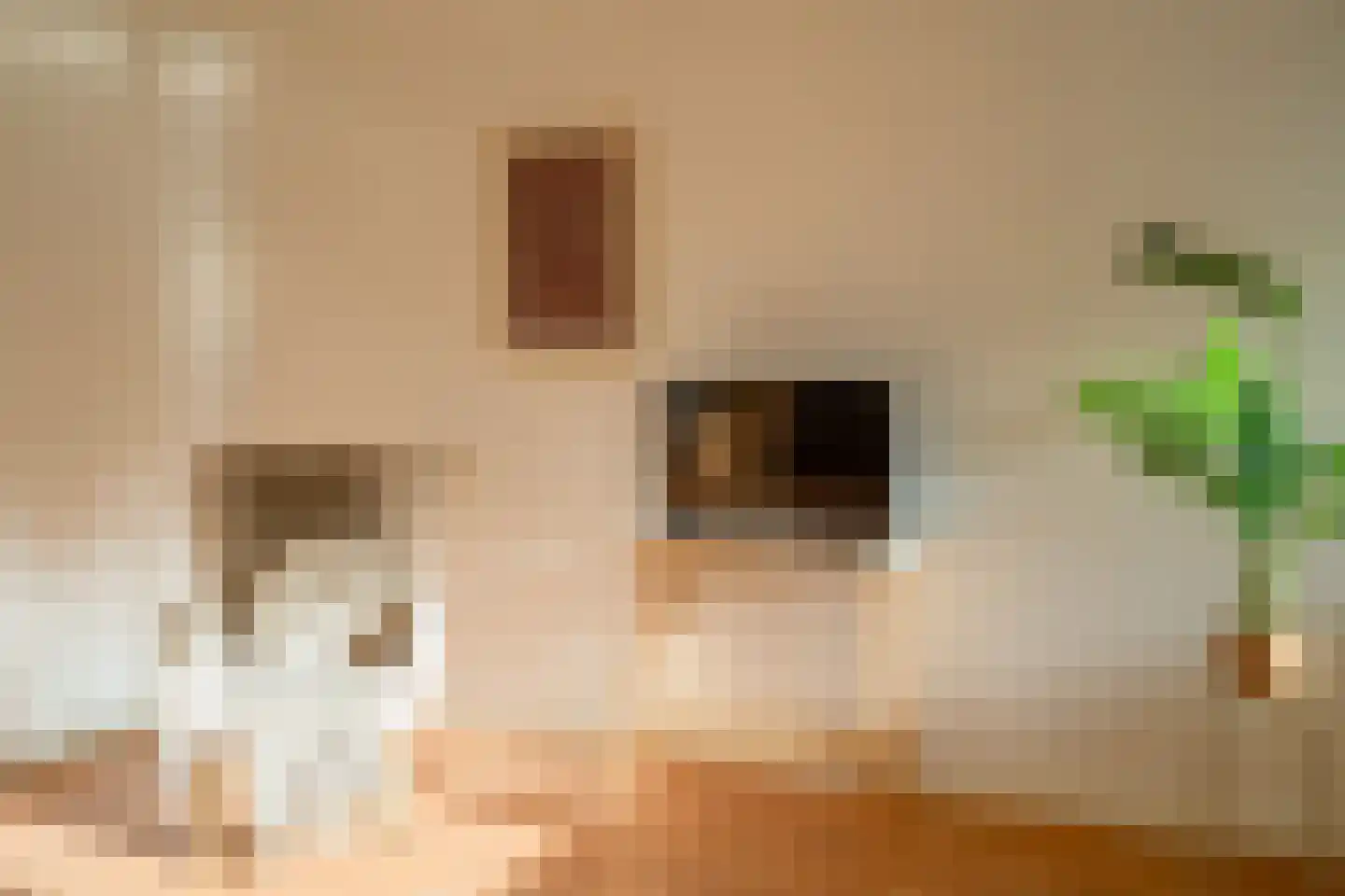 Deken van Oppensingel 117 Venlo thumbnail 29