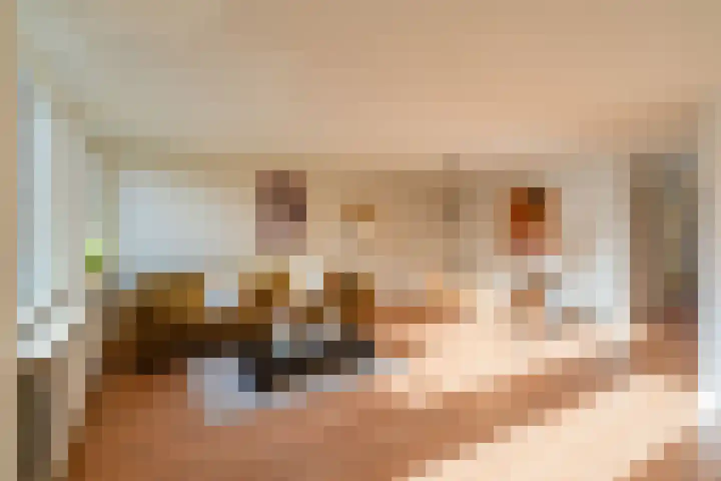 Deken van Oppensingel 117 Venlo thumbnail 33