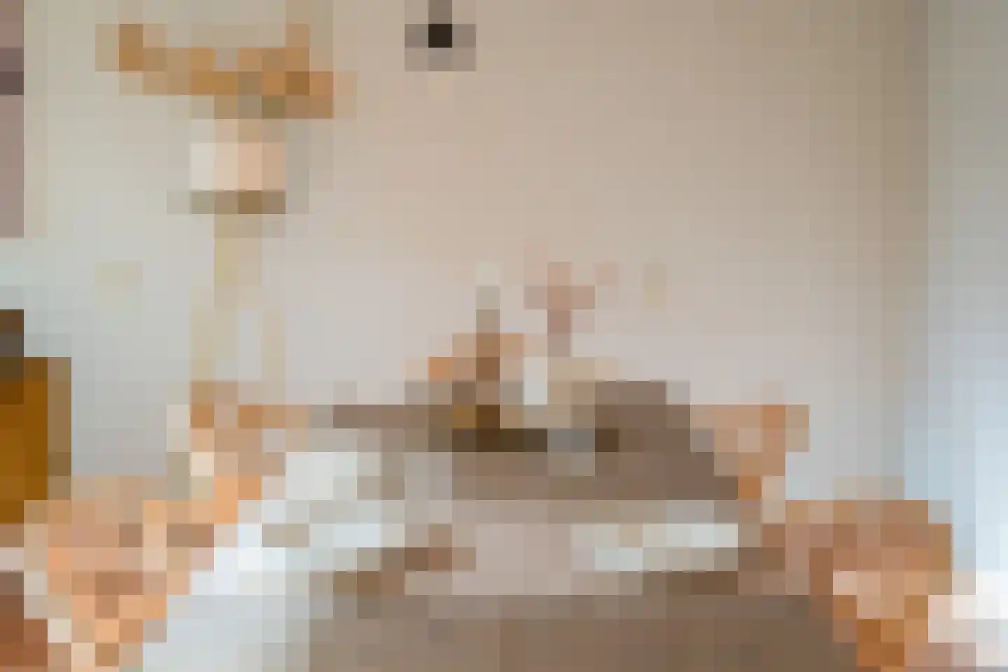 Deken van Oppensingel 117 Venlo thumbnail 35