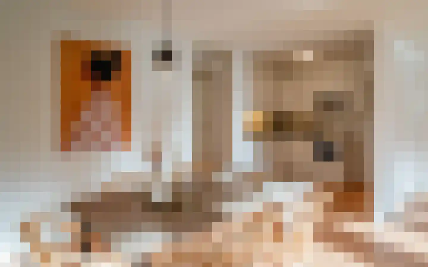 Deken van Oppensingel 117 Venlo thumbnail 36