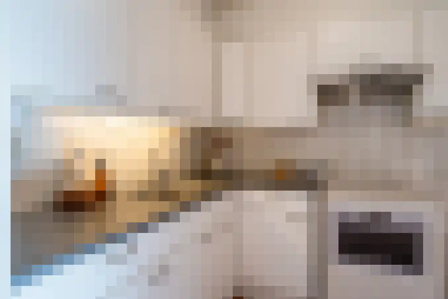 Deken van Oppensingel 117 Venlo thumbnail 38
