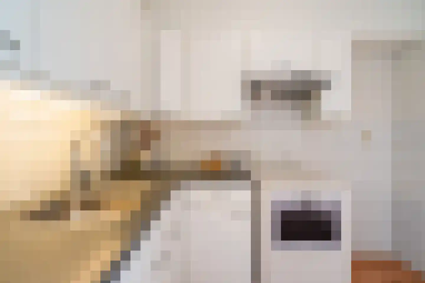 Deken van Oppensingel 117 Venlo thumbnail 39