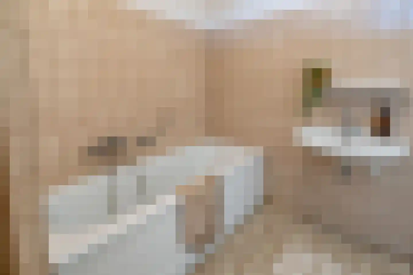 Deken van Oppensingel 117 Venlo thumbnail 46