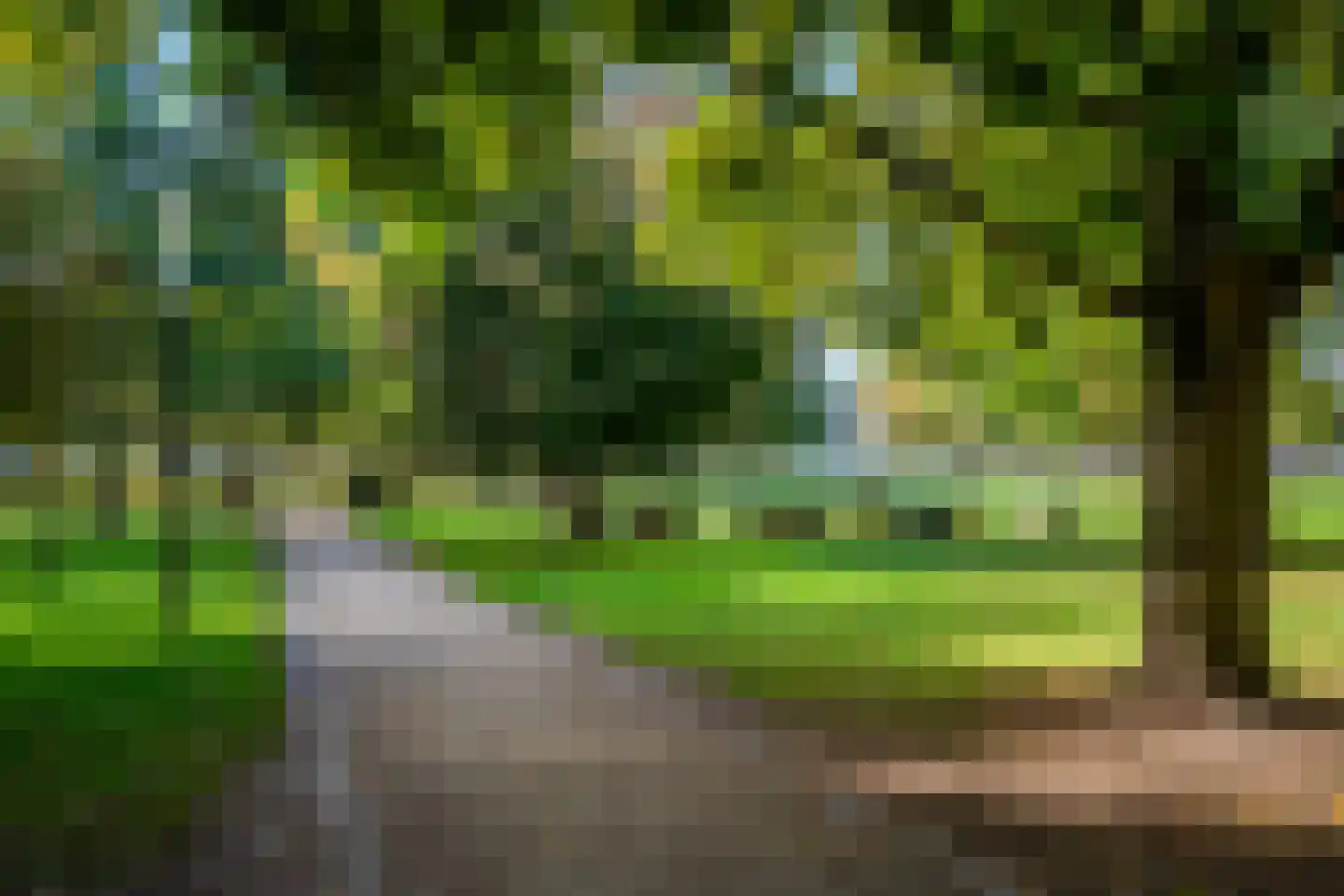 Deken van Oppensingel 117 Venlo thumbnail 62