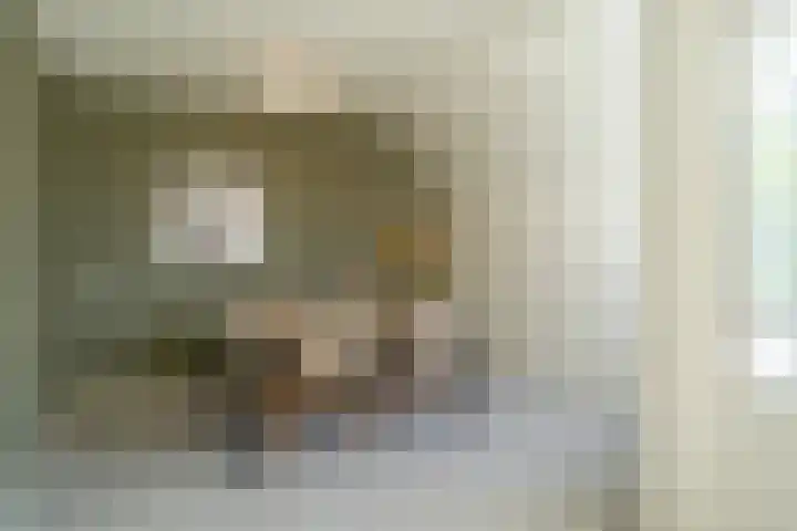 Deken van Oppensingel 119 Venlo thumbnail 10