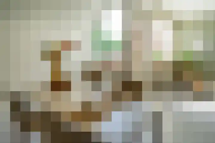 Deken van Oppensingel 119 Venlo thumbnail 11