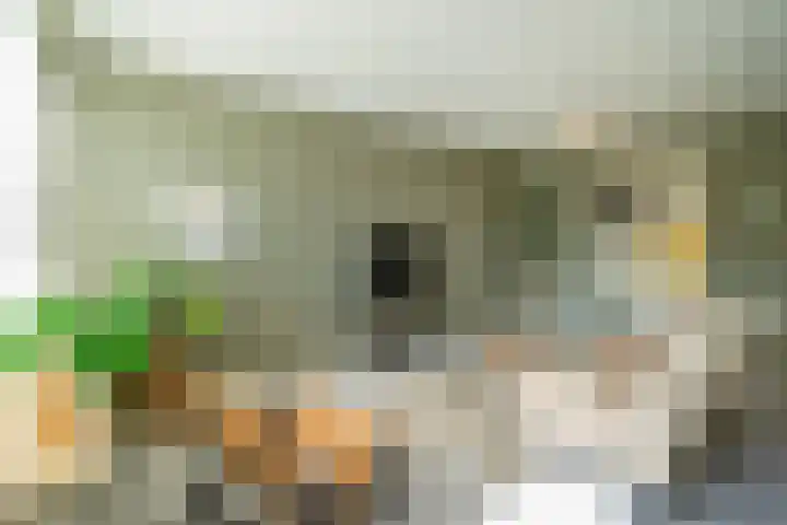 Deken van Oppensingel 119 Venlo thumbnail 12