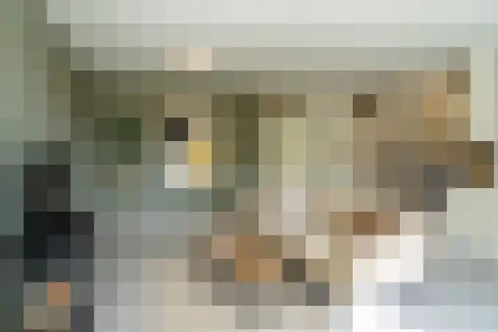 Deken van Oppensingel 119 Venlo thumbnail 13