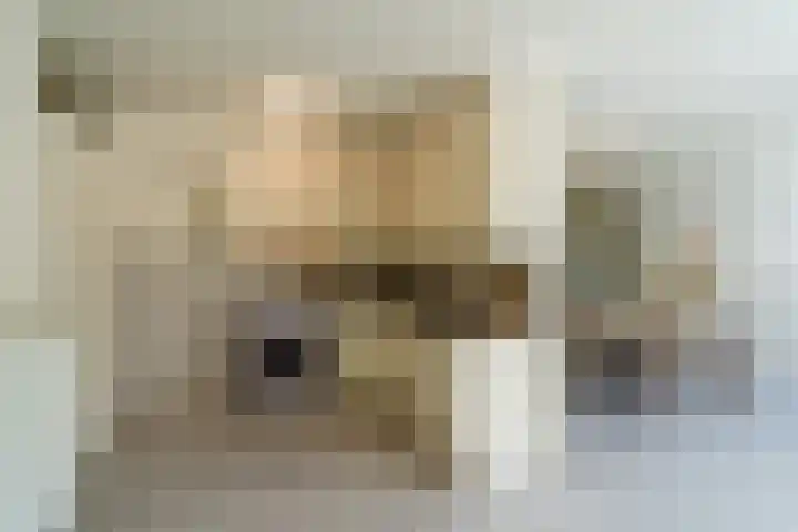 Deken van Oppensingel 119 Venlo thumbnail 14
