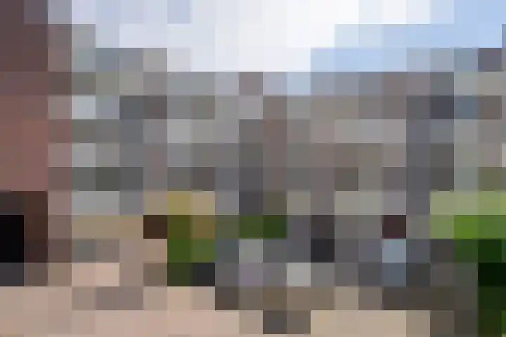 Deken van Oppensingel 119 Venlo thumbnail 31