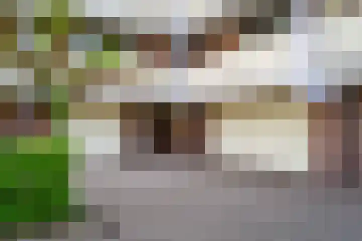 Deken van Oppensingel 119 Venlo thumbnail 32