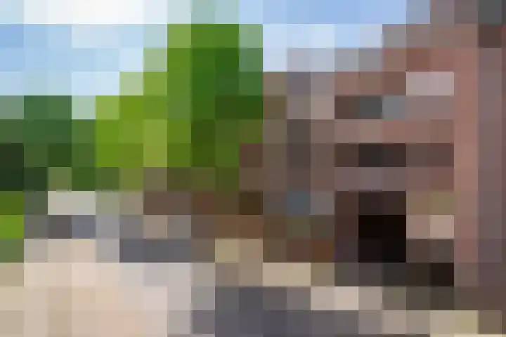 Deken van Oppensingel 119 Venlo thumbnail 34