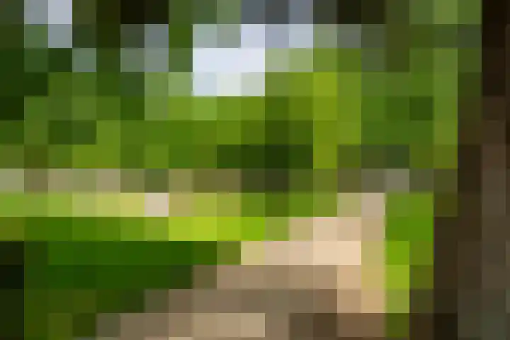 Deken van Oppensingel 119 Venlo thumbnail 39