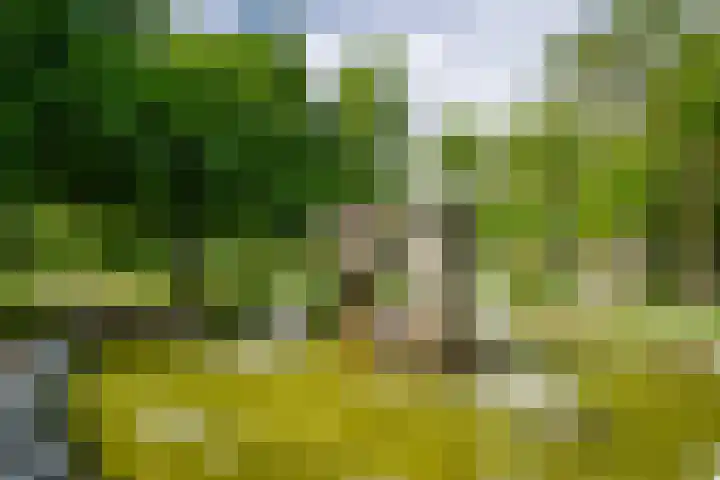 Deken van Oppensingel 119 Venlo thumbnail 40