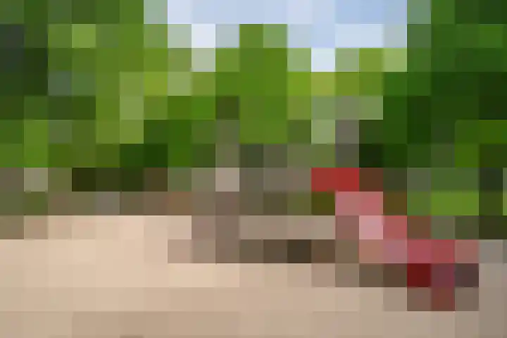 Deken van Oppensingel 119 Venlo thumbnail 42