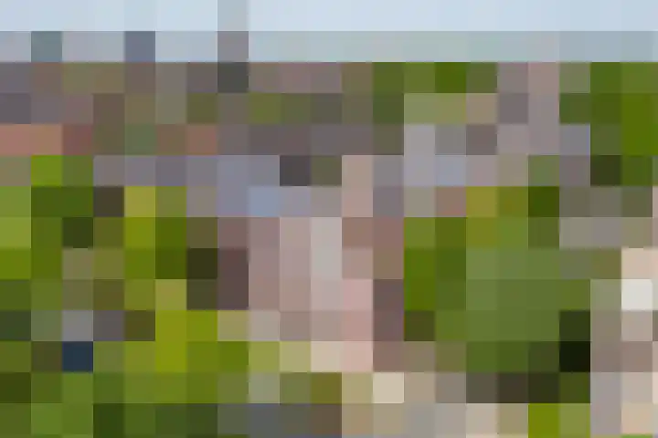 Deken van Oppensingel 119 Venlo thumbnail 44