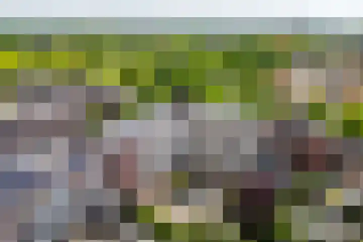 Deken van Oppensingel 119 Venlo thumbnail 48