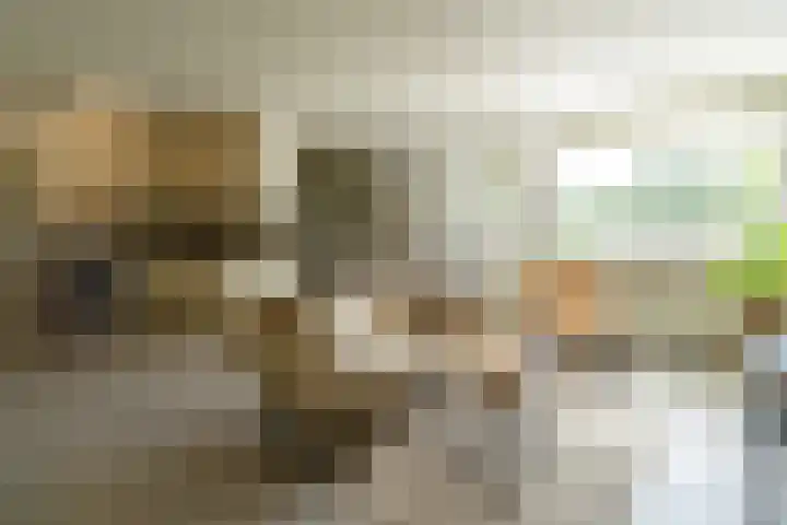 Deken van Oppensingel 119 Venlo thumbnail 5