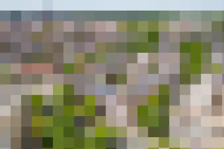 Deken van Oppensingel 119 Venlo thumbnail 50