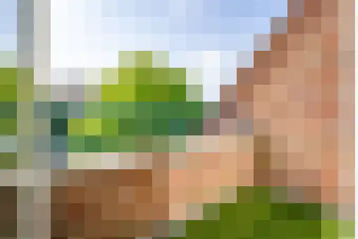 Deken van Oppensingel 119 Venlo thumbnail 8