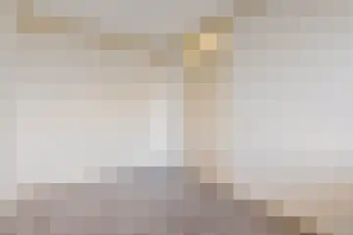 Deken van Oppensingel 157 Venlo thumbnail 10