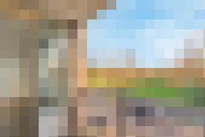 Deken van Oppensingel 157 Venlo thumbnail 5